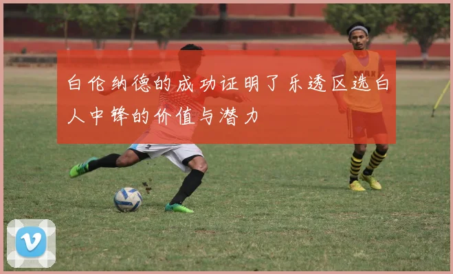 白伦纳德的成功证明了乐透区选白人中锋的价值与潜力
