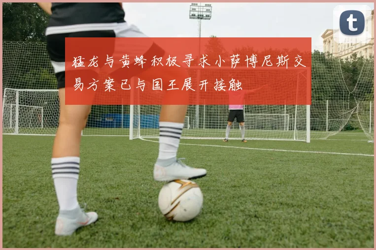 猛龙与黄蜂积极寻求小萨博尼斯交易方案已与国王展开接触